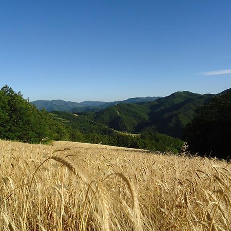 פלצואולו סול סניו Agriturismo I Monti Di Salecchio מראה חיצוני תמונה