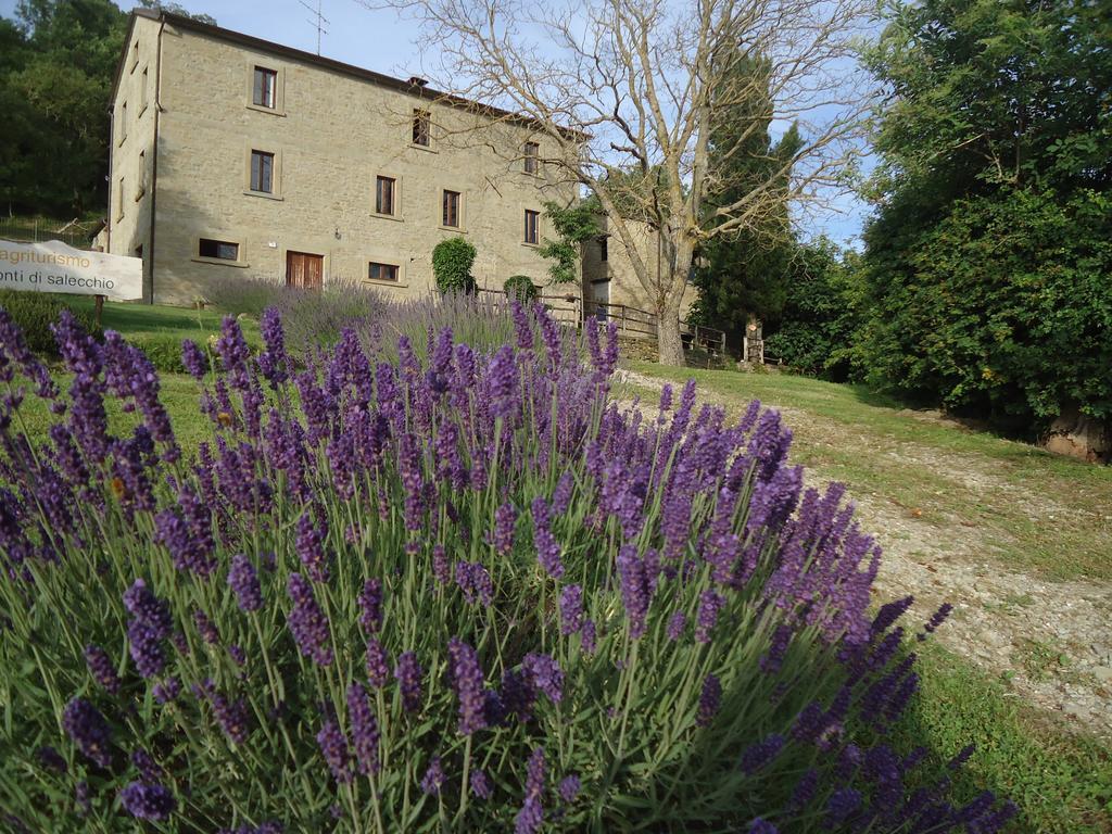 פלצואולו סול סניו Agriturismo I Monti Di Salecchio מראה חיצוני תמונה
