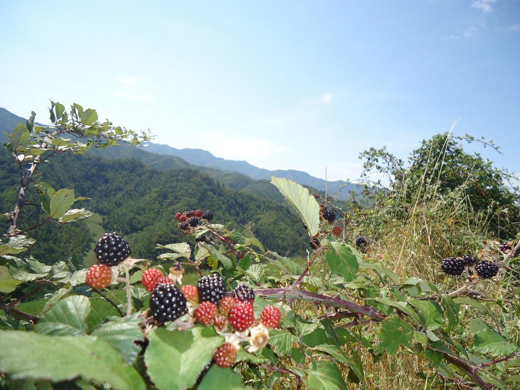 פלצואולו סול סניו Agriturismo I Monti Di Salecchio מראה חיצוני תמונה