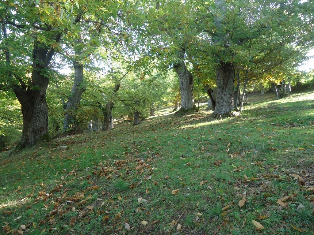 פלצואולו סול סניו Agriturismo I Monti Di Salecchio מראה חיצוני תמונה