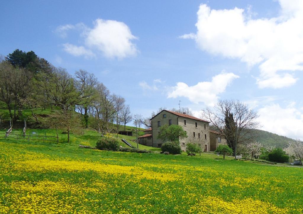 פלצואולו סול סניו Agriturismo I Monti Di Salecchio מראה חיצוני תמונה